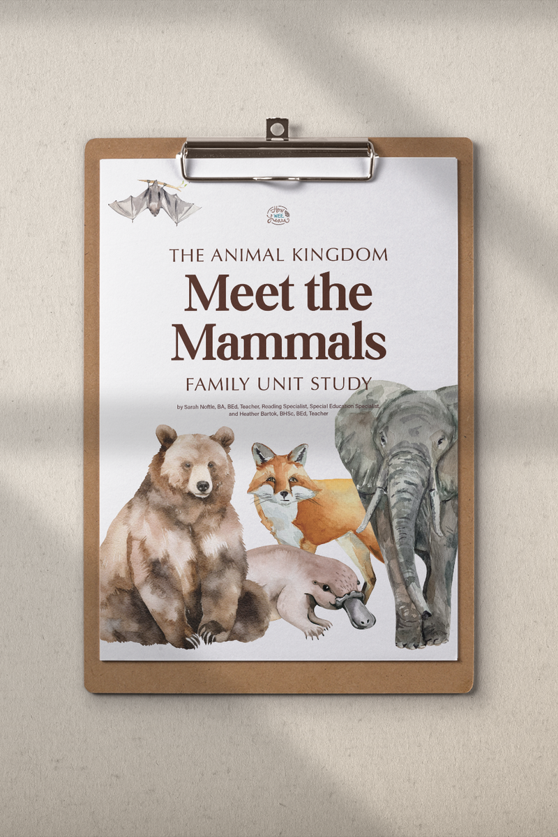 Meet the Mammals Family Unit Study | Perfect for Ages 4 to 12! – How ...