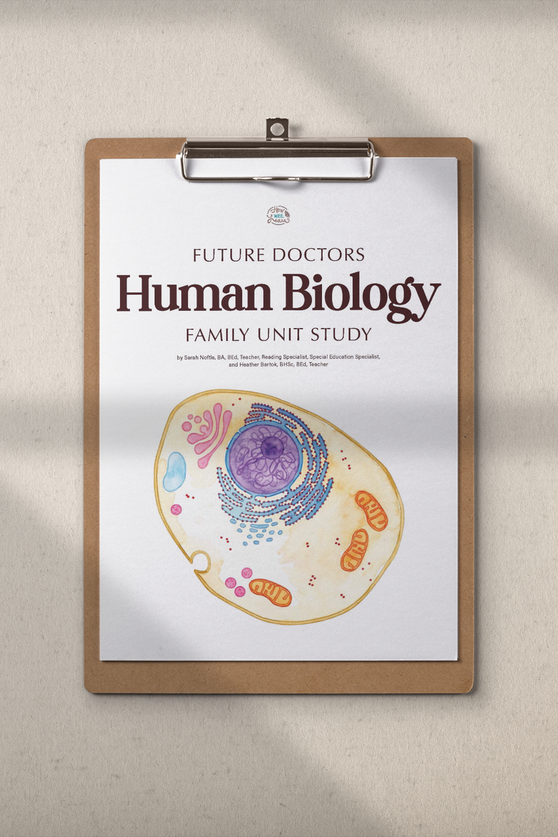 Human Biology Family Unit Study | Perfect for Ages 4 to 12 – How Wee Learn