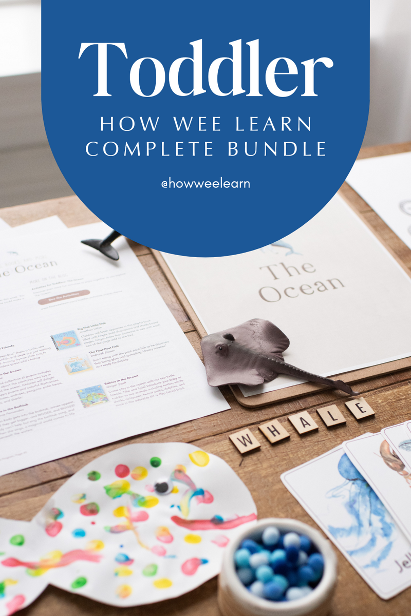 The Everything Toddler Bundle | For Ages 18 Months to 3 Years – How Wee ...