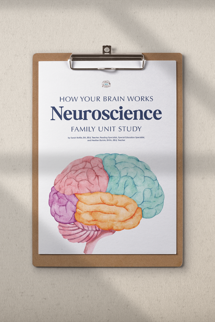 Neuroscience Family Unit Study | Perfect for Ages 4 to 12 – How Wee Learn