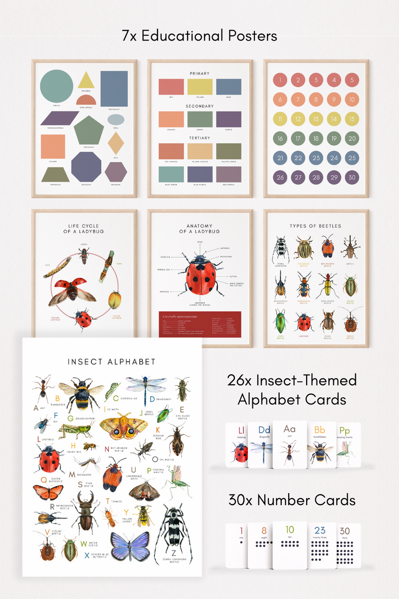 Preschool Poster Pack – How Wee Learn