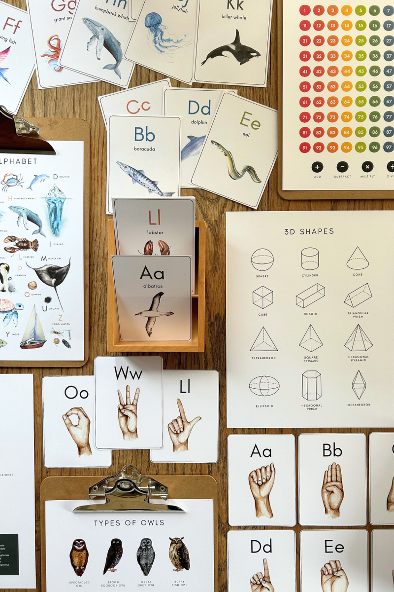 Kindergarten Poster Pack – How Wee Learn
