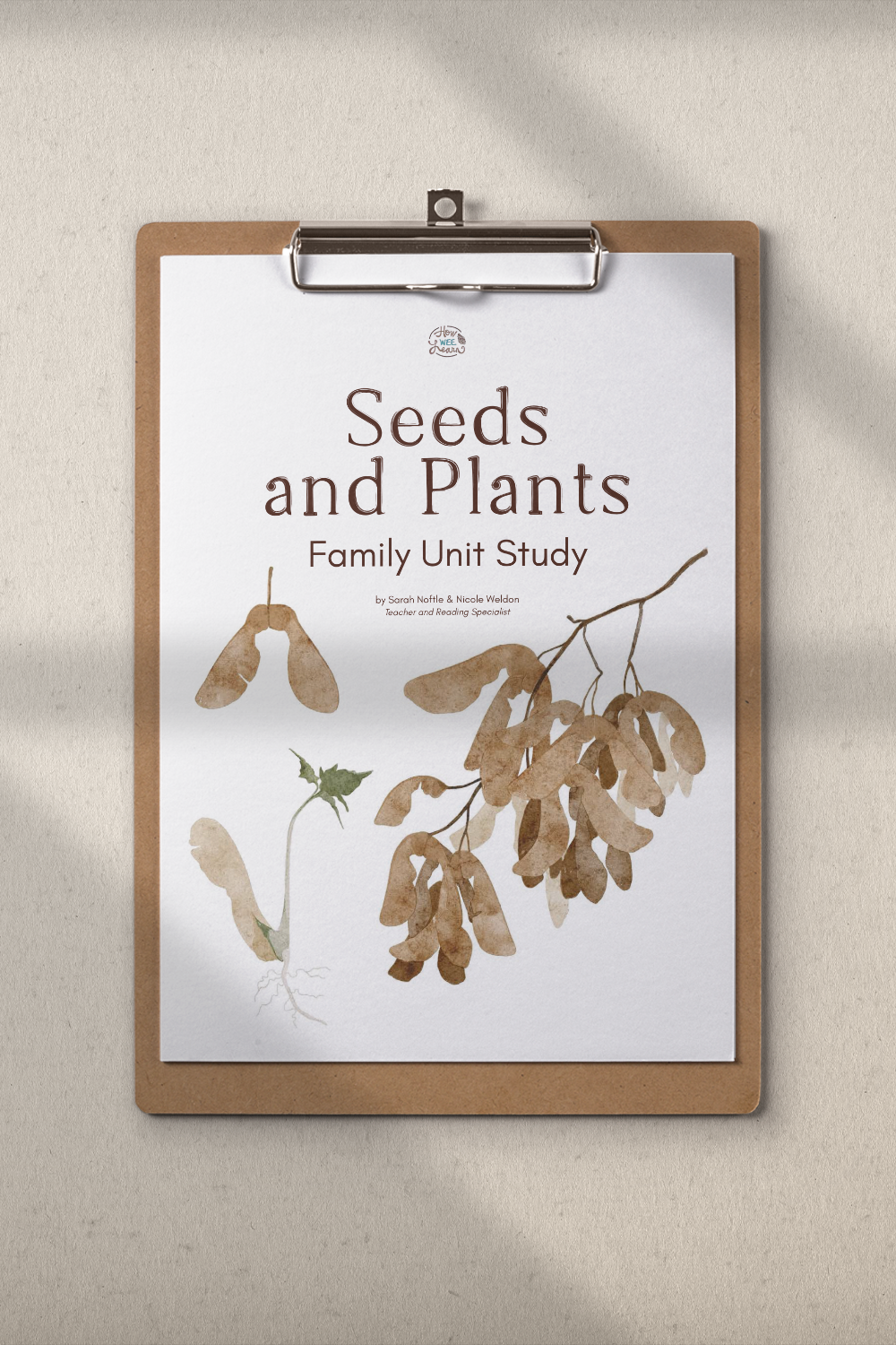 Seeds and Plants Family unit study