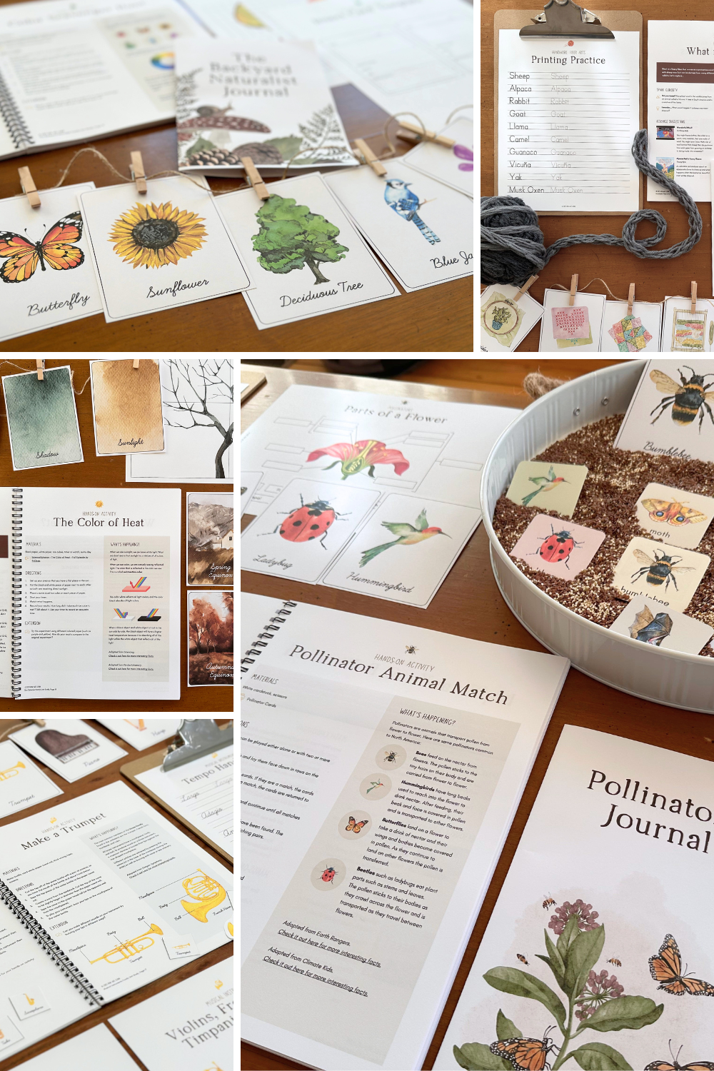 Nature Childs Family Unit Study Bundle