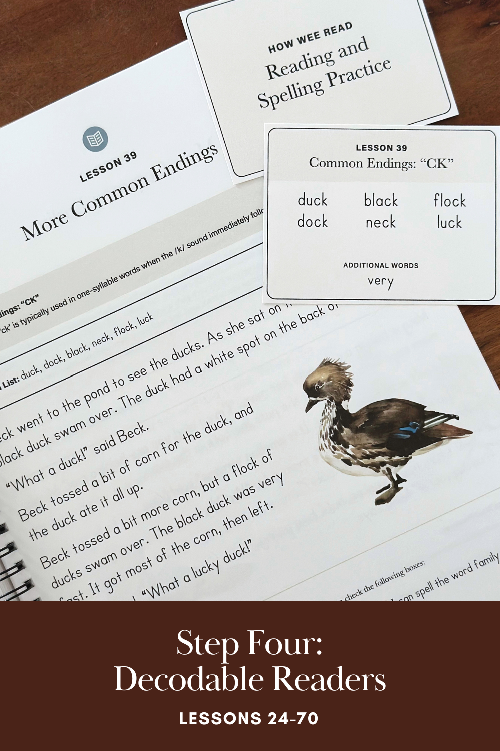 Homeschool Reading curriculum: Step 4 Early Reading Skills with Decodable Readers.