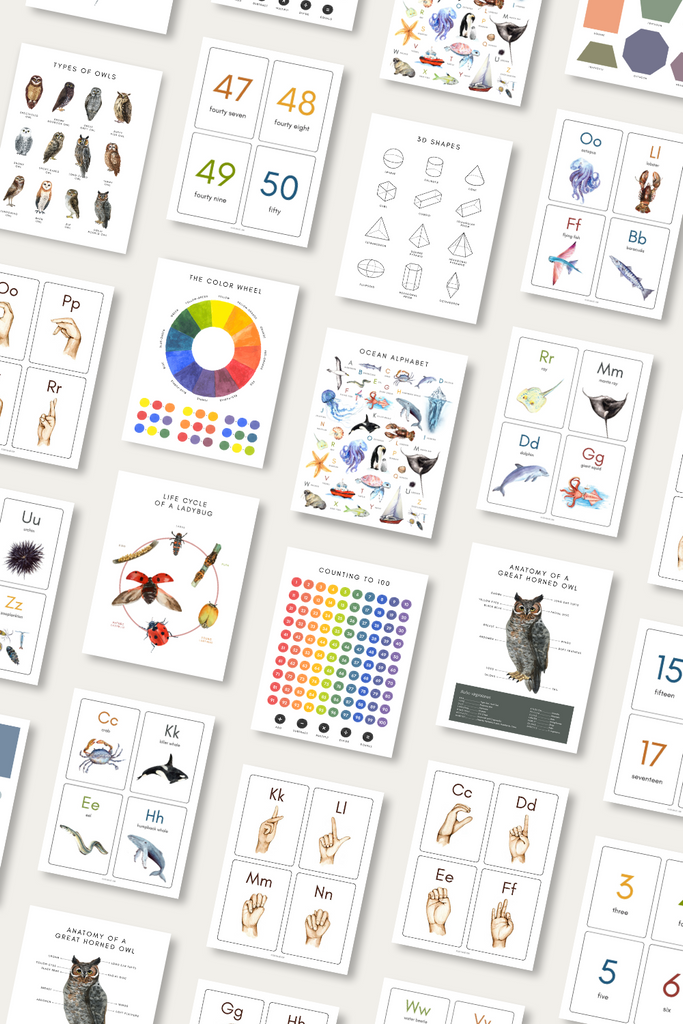How Wee Learn Kindergarten