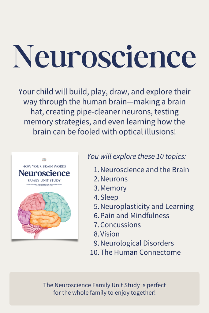 Neuroscience Family Unit Study | Perfect for Ages 4 to 12 – How Wee Learn