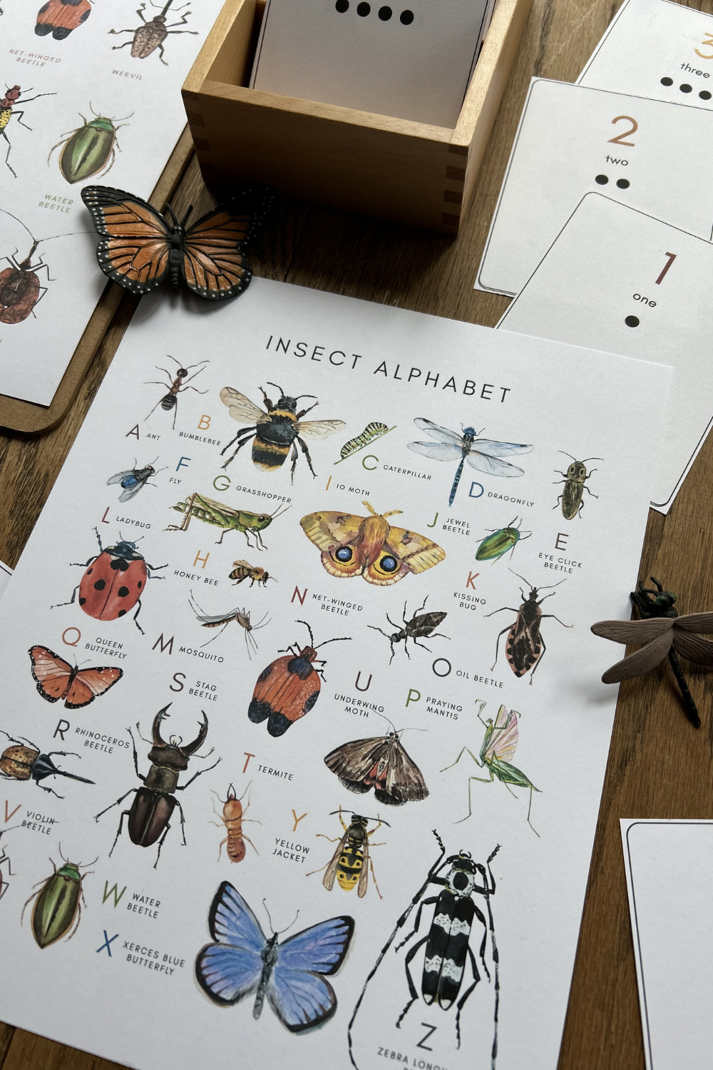 Insect Alphabet Printable