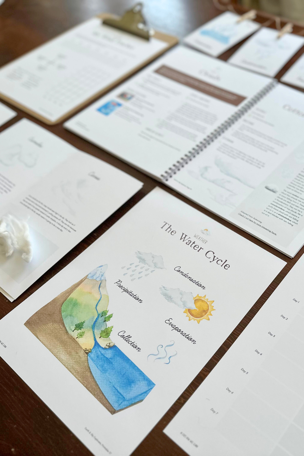 Wild Weather Coursebook - The Water Cycle