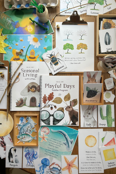 Overview of How Wee Learn's Everything Toddler Bundle and what's included.